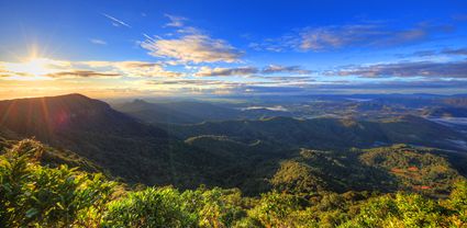 Best of All Lookout - Springbrook National Park - QLD T (PB5D 00 3930)